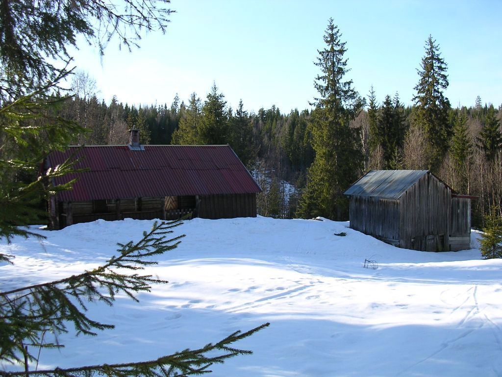 Myrseter på Krokskogen