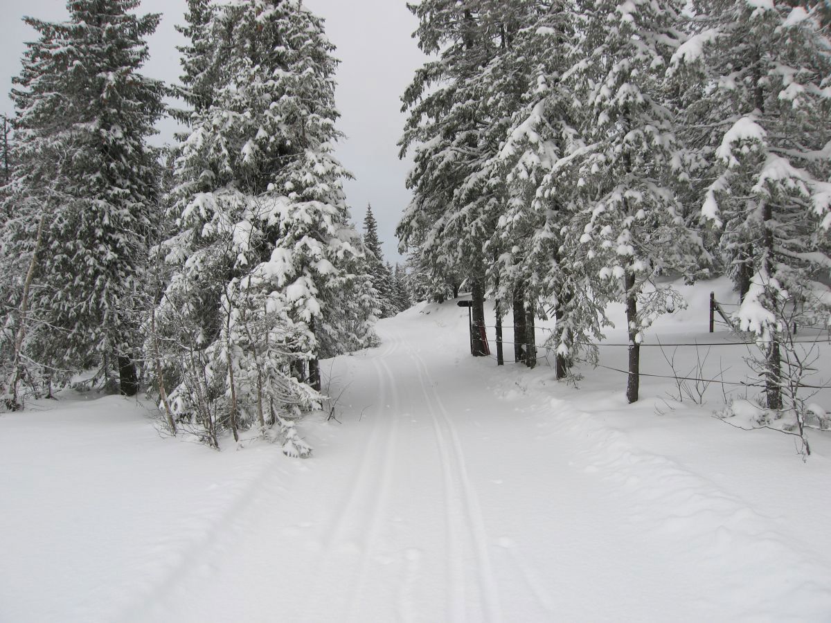 Nå bærer det utfor