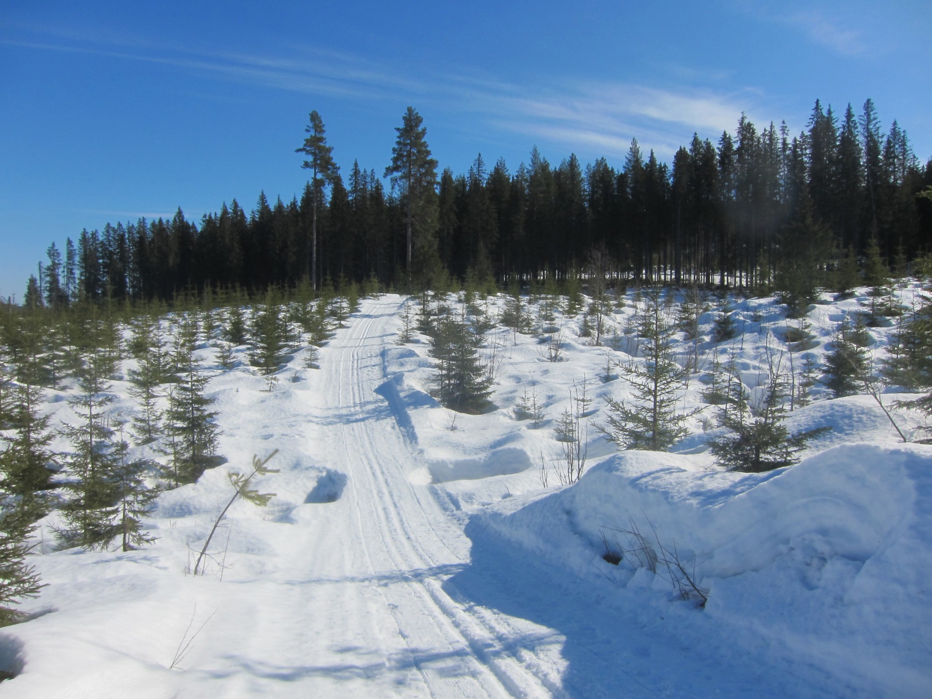 Nå går det oppover