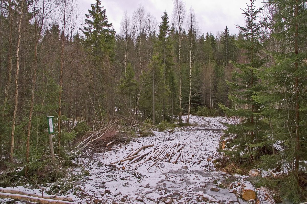 Nå kan sneen komme til Svenskehølet