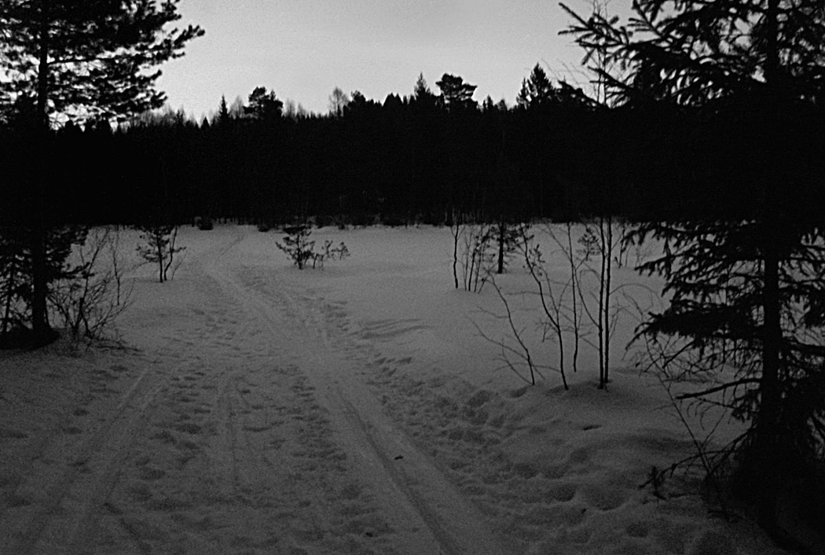 Natten har senket seg over Stubberudtjern
