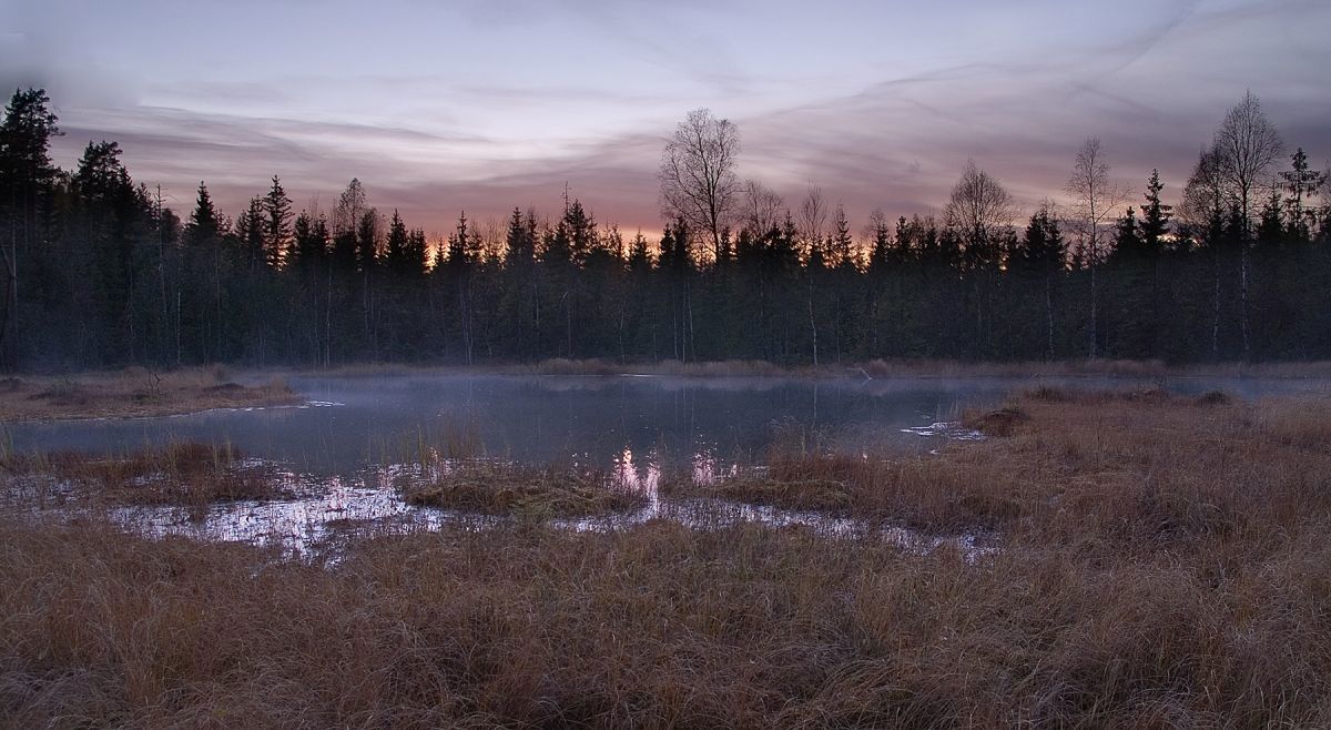 Natten overtar ved Kringletjern