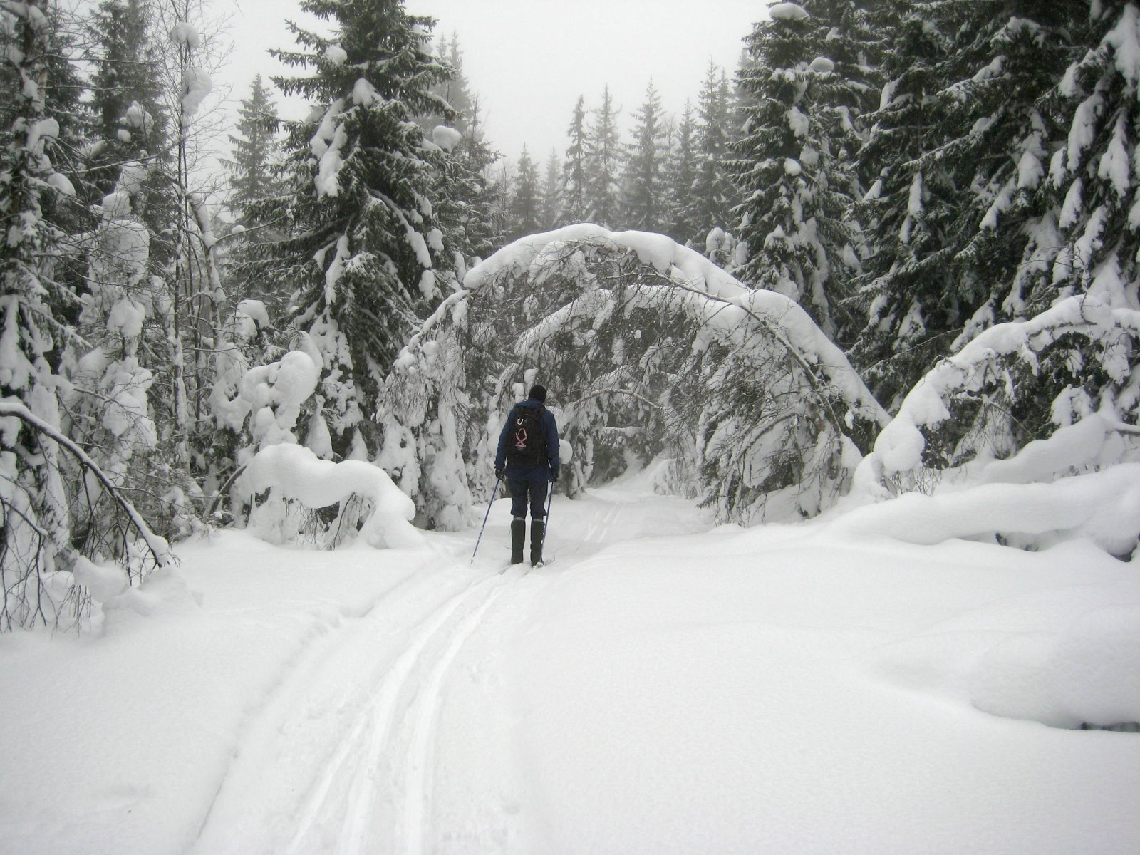 Naturen har laget portal over skiløypa