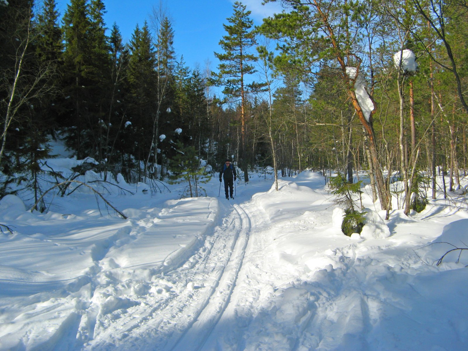 Naturløypa fra Myrdammen