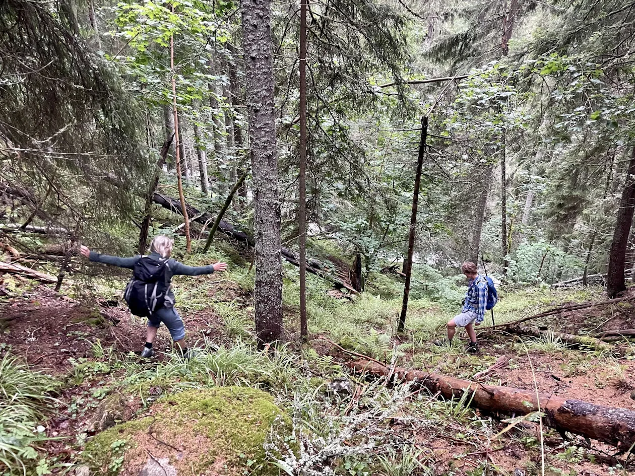 Ned bratta i Askerudjuvet Ned bratta i Askerudjuvet