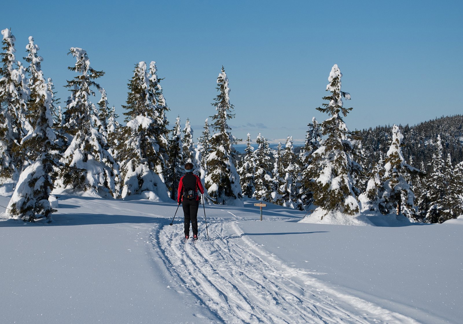 Ned fra Fjellsjøkampen