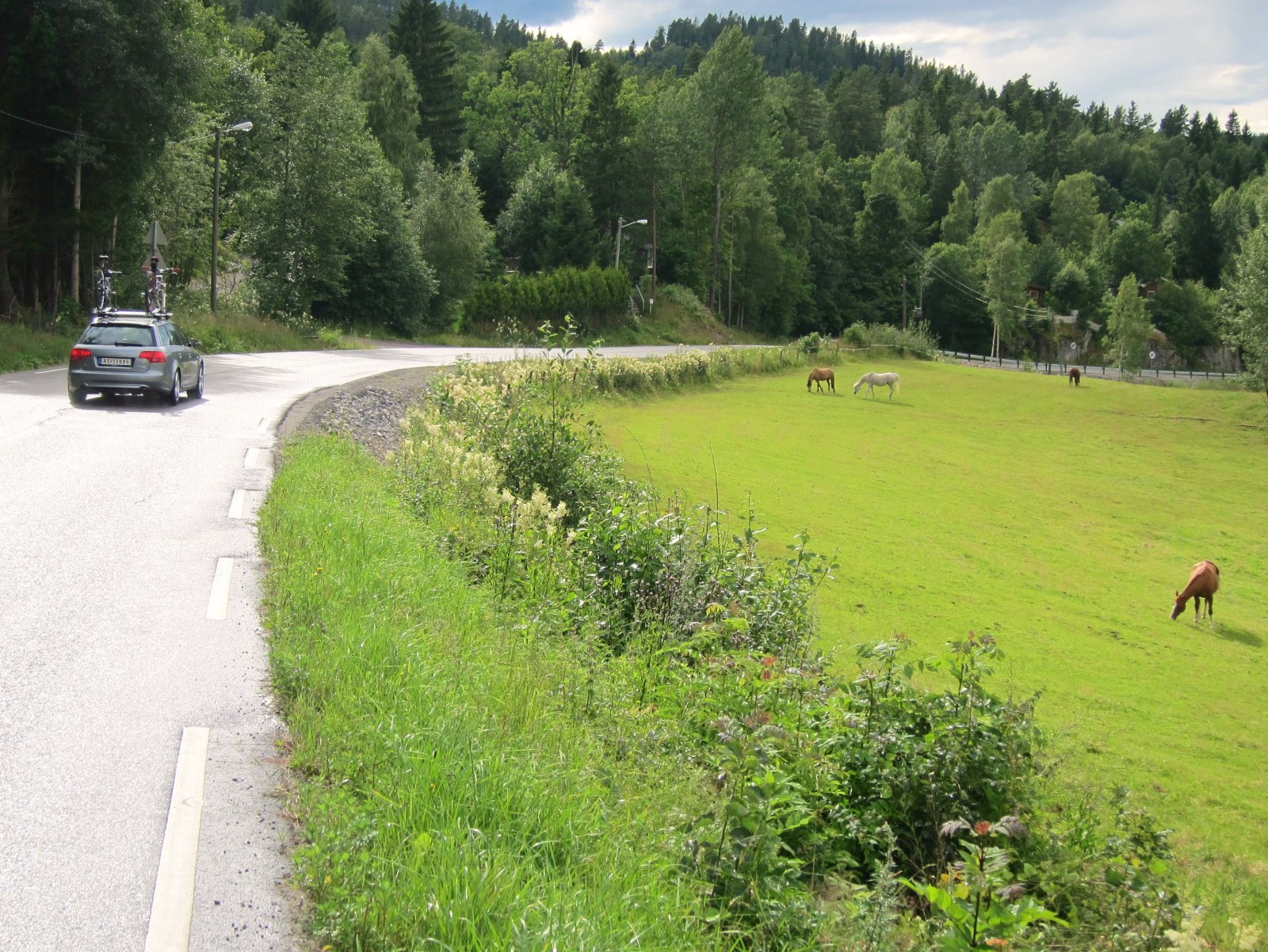 Ned fra Storsandtoppen