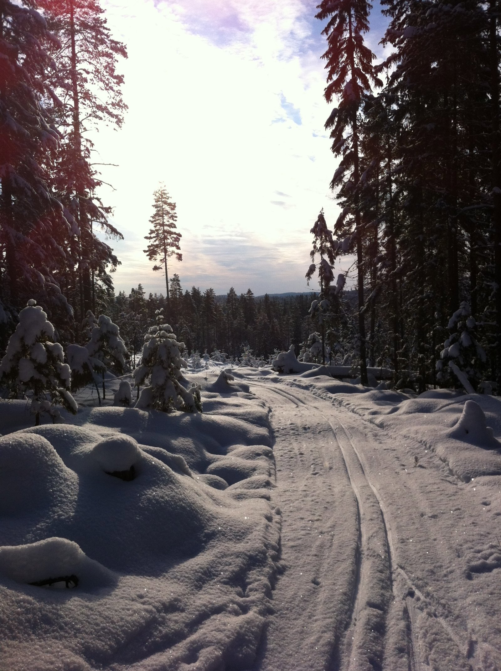 Ned fra Tretjernsmyra
