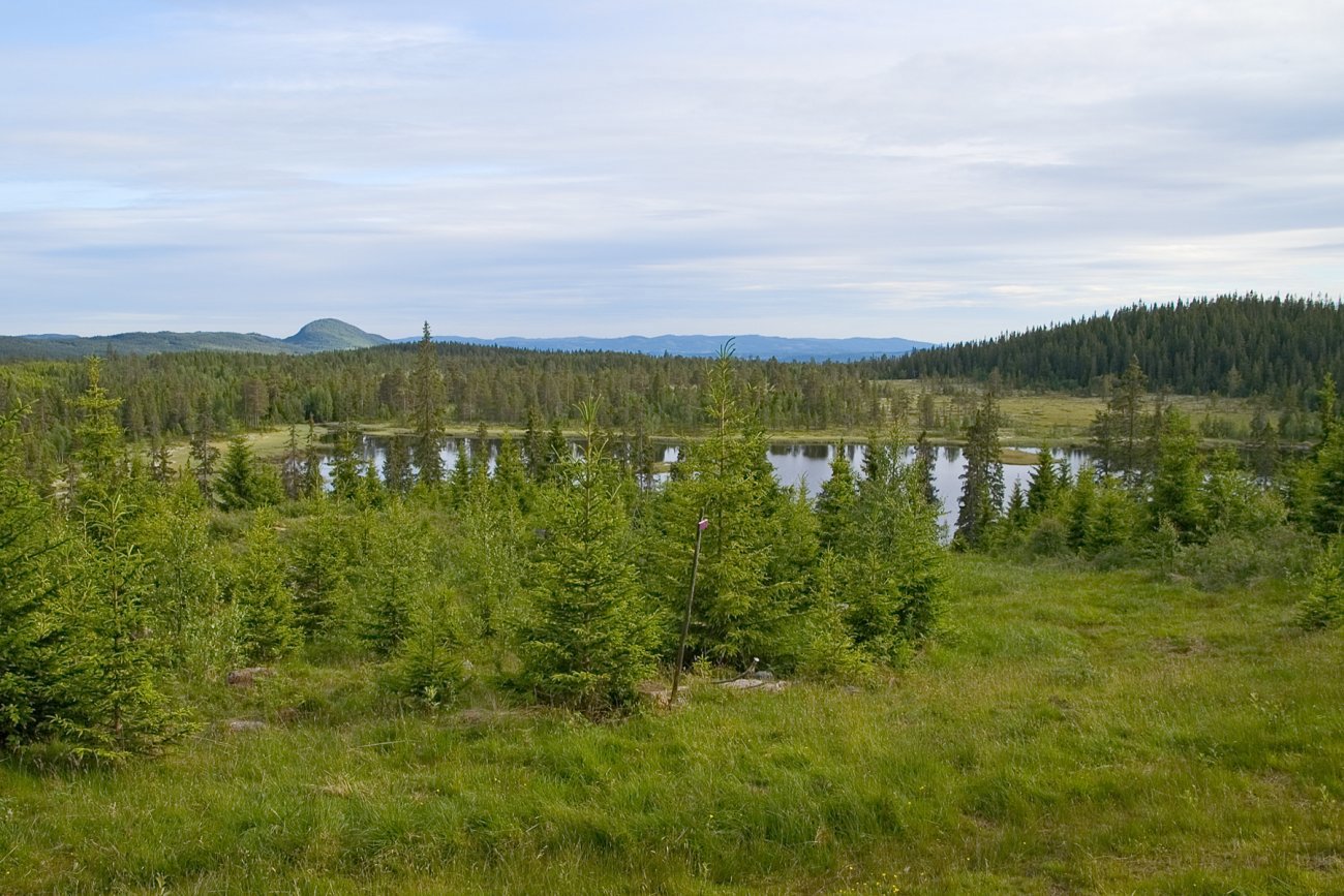 Ned mot Hengedytjernet