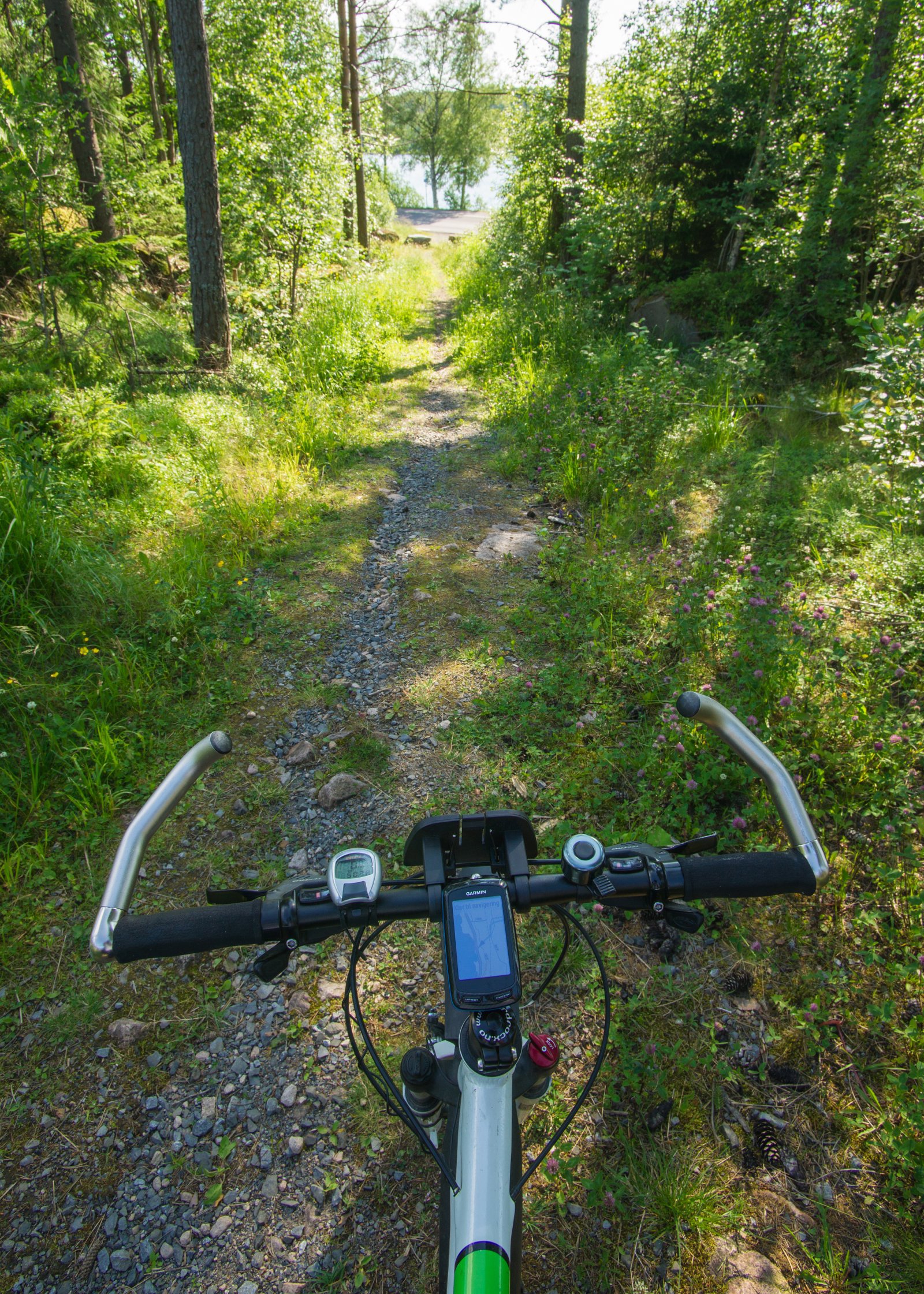 Ned stien, ut på veien