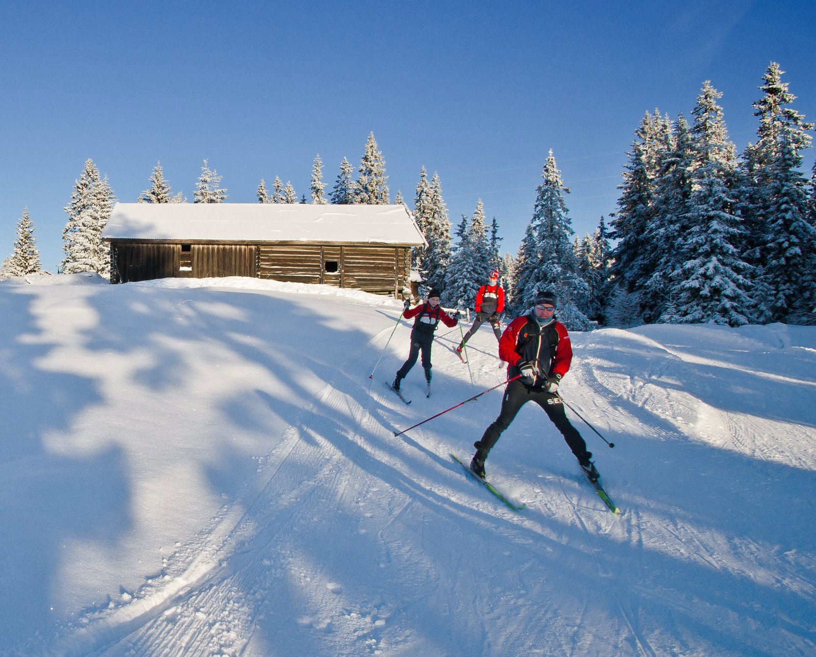 Nedbremsing før Løvlia