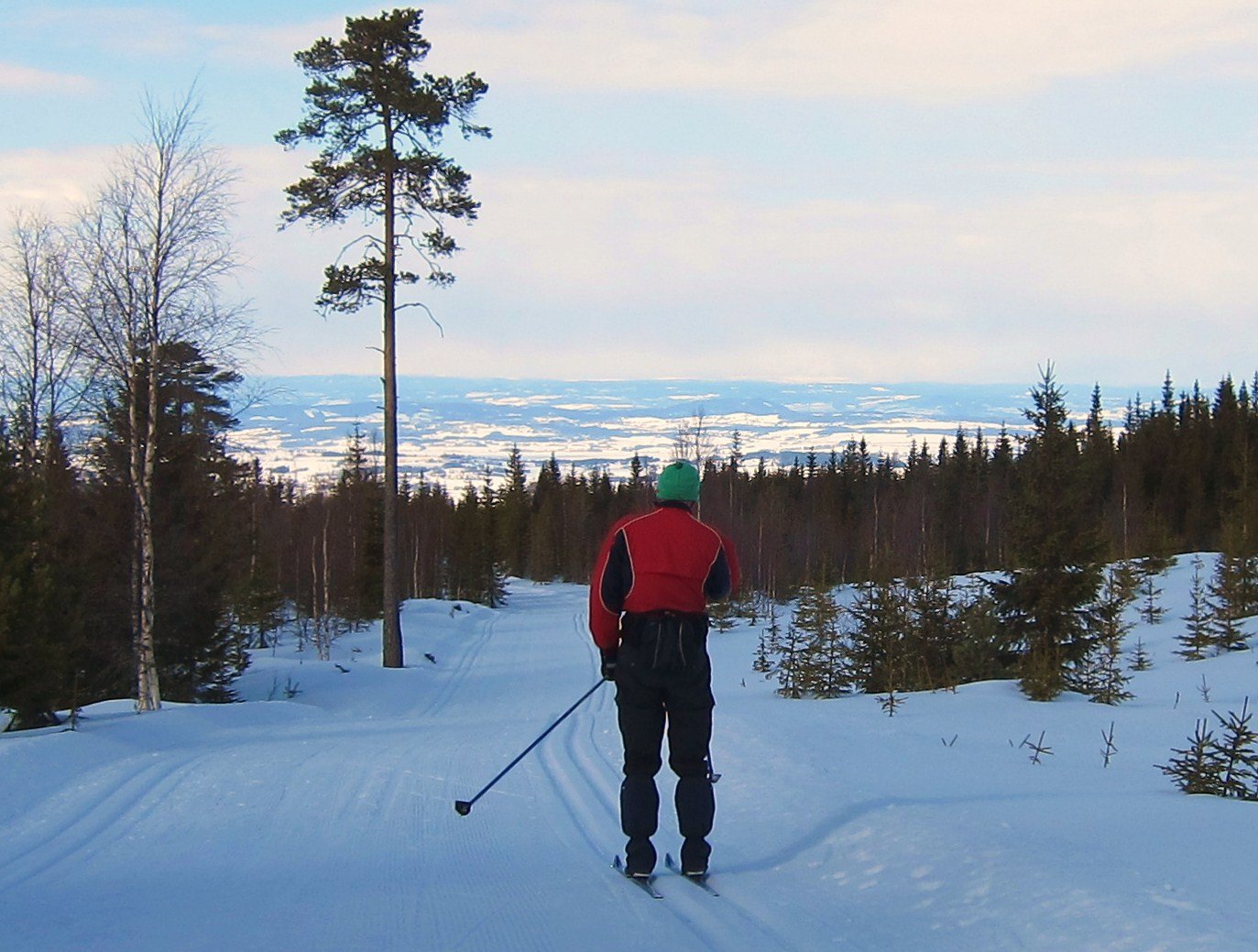 Nedkjøring med utsikt