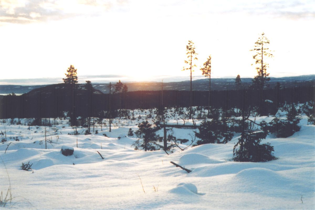 Nedover Østefalla i kveldssol