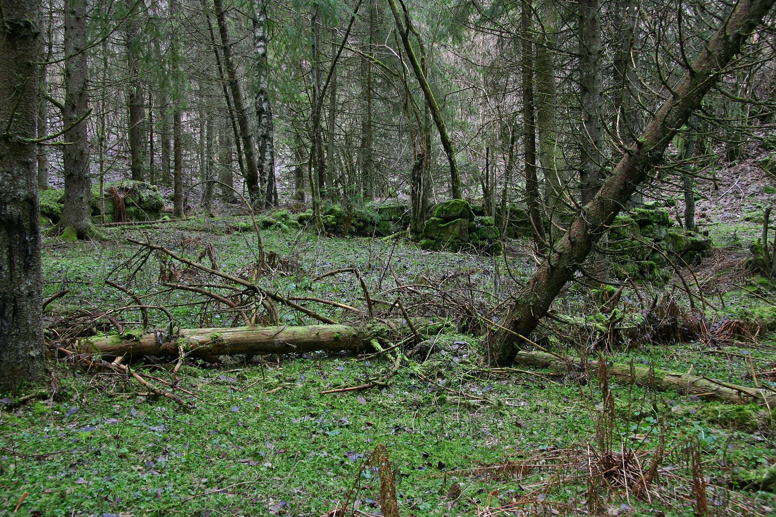 Nedre Mastekastet – låvefundamenter jula 2006