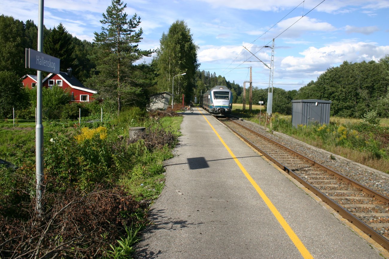 Neste stopp Hallenskog