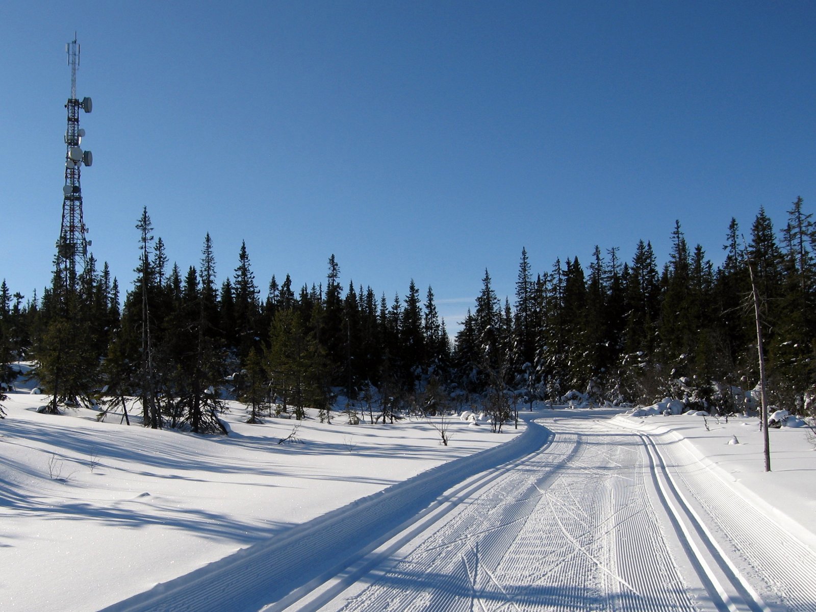 Nesten på Høgkorset