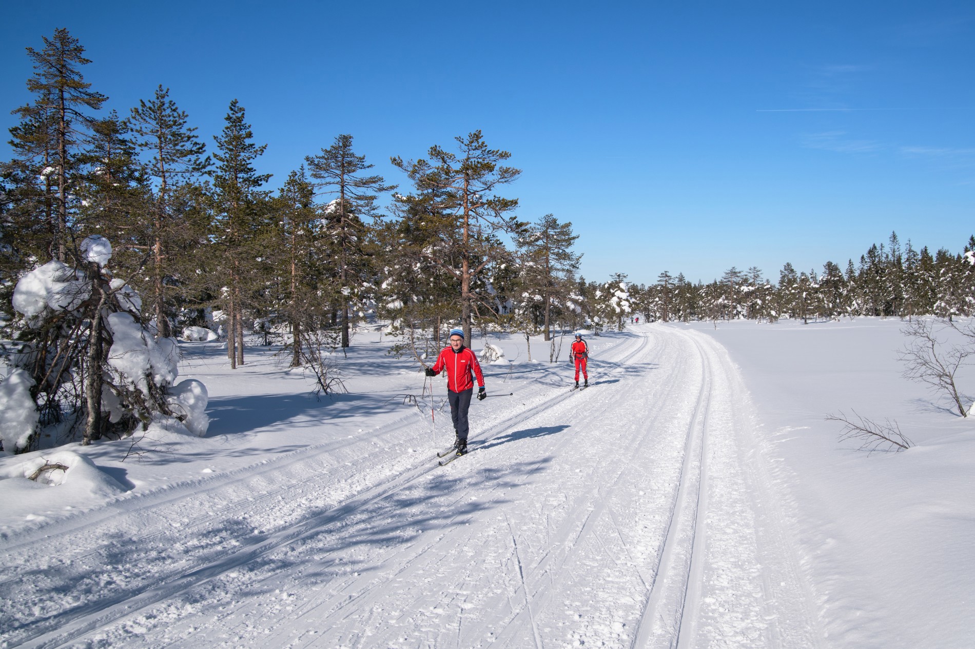 Nok en strålende dag
