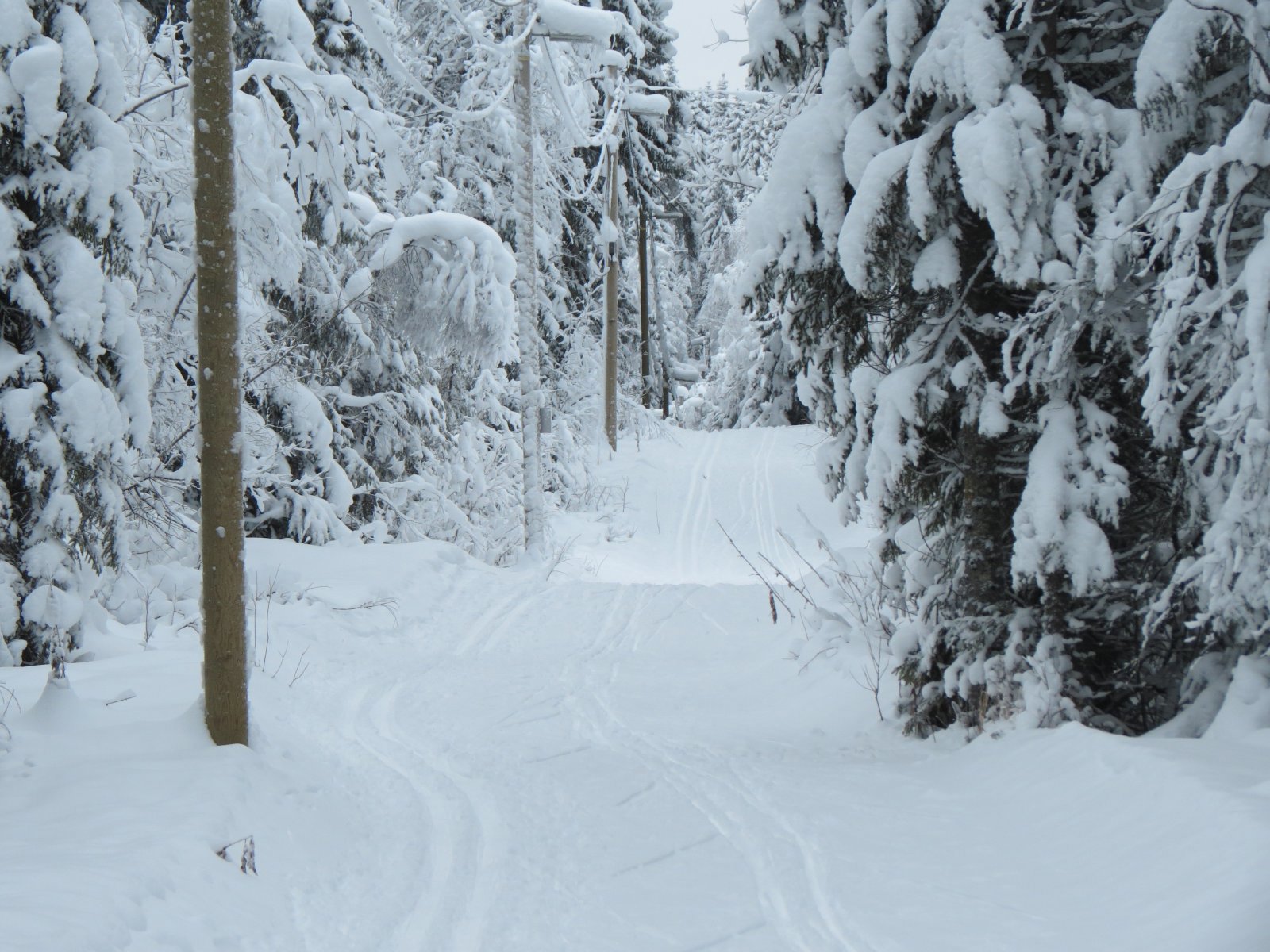 Nok snø i lysløypa