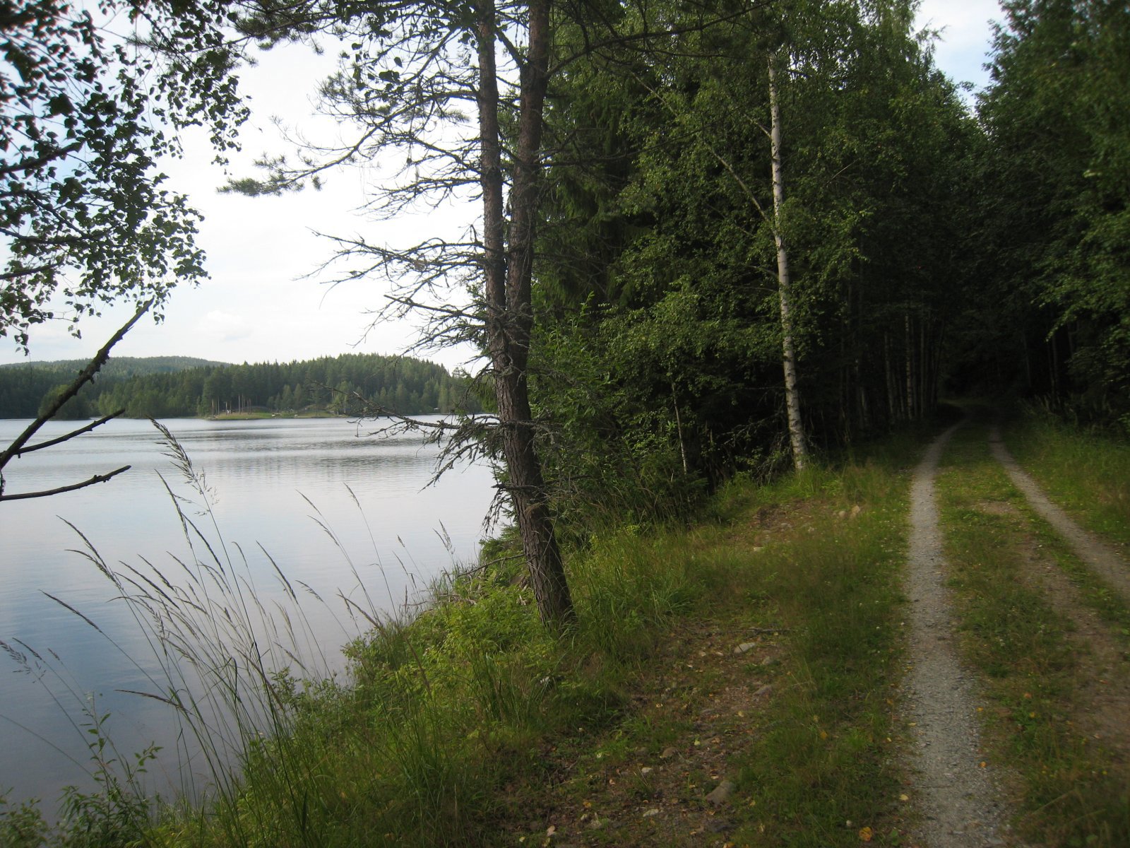 Nord-Fløyta fra sør