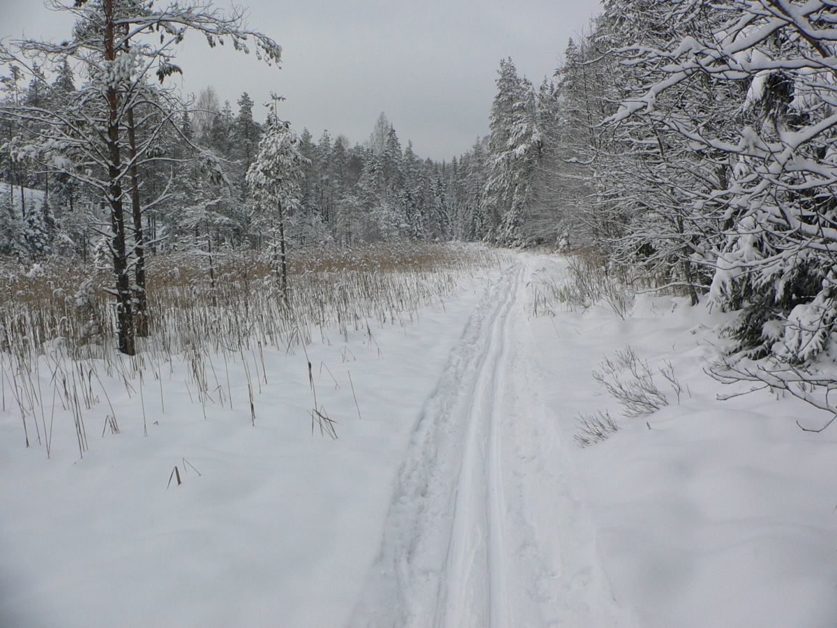 Nord for Kjærmosetjern