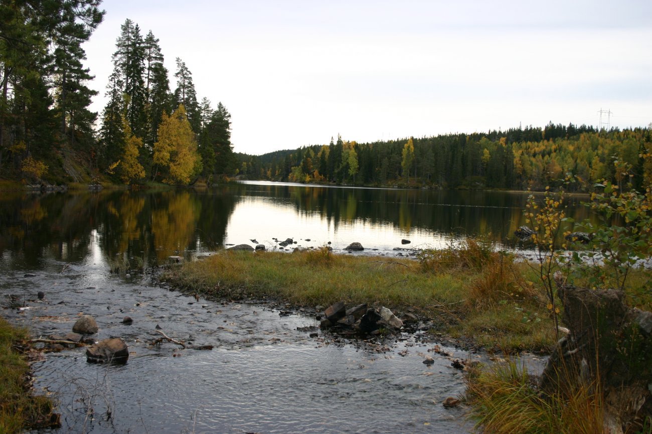 Nord i Kirkebygjermenningen