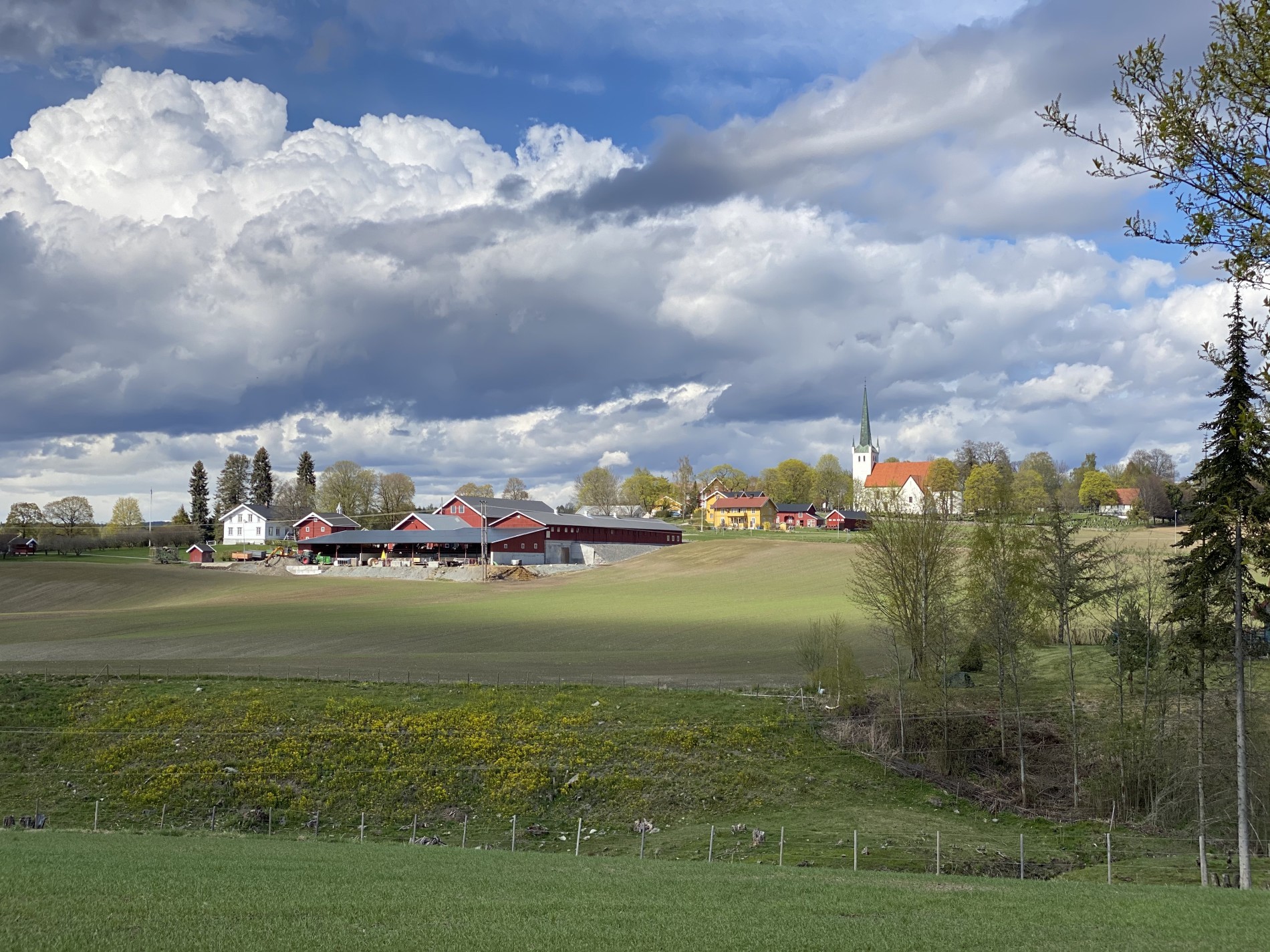 Norderhov kirke sett fra Frok