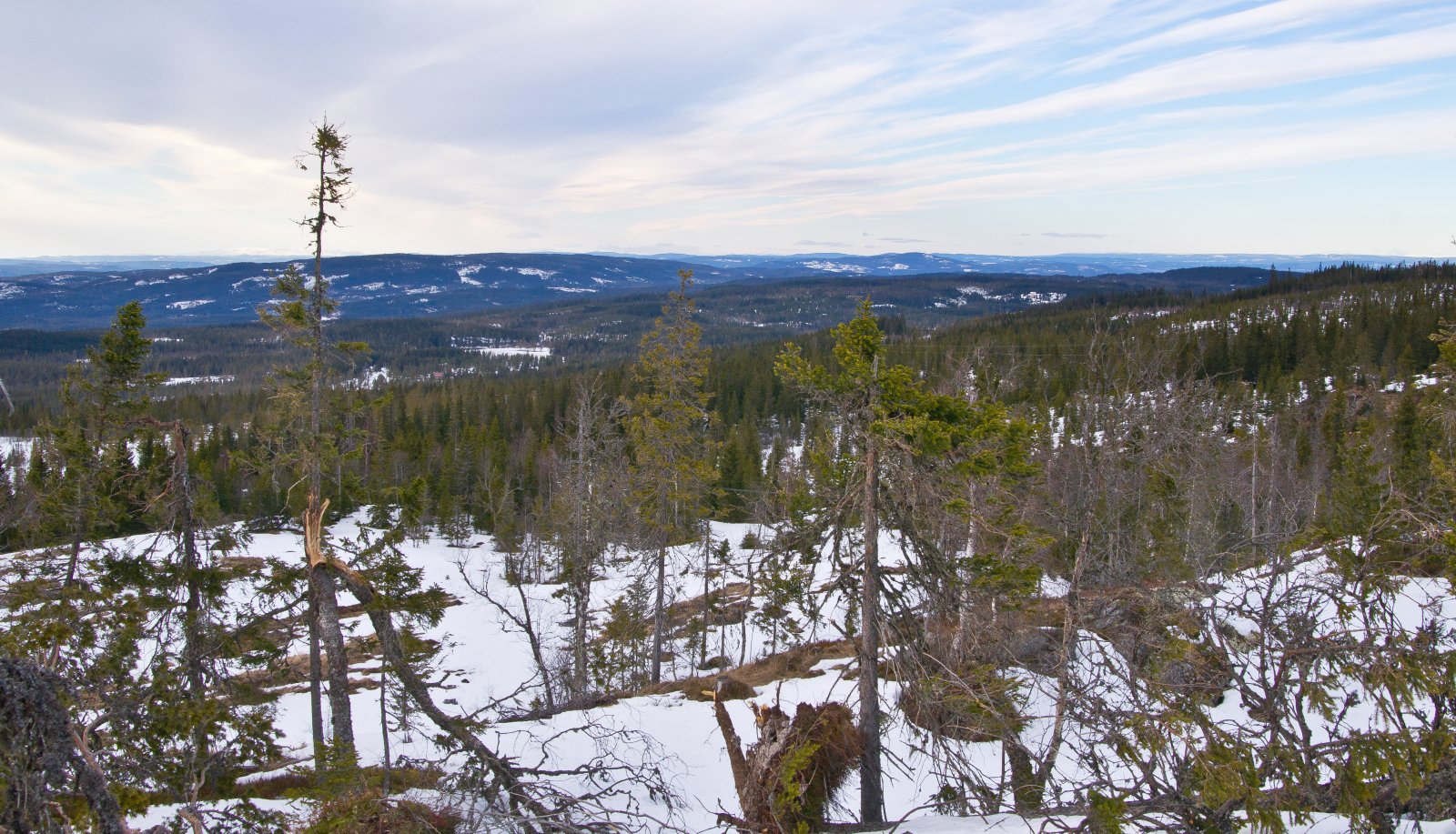 Nordlig utsikt fra Linken