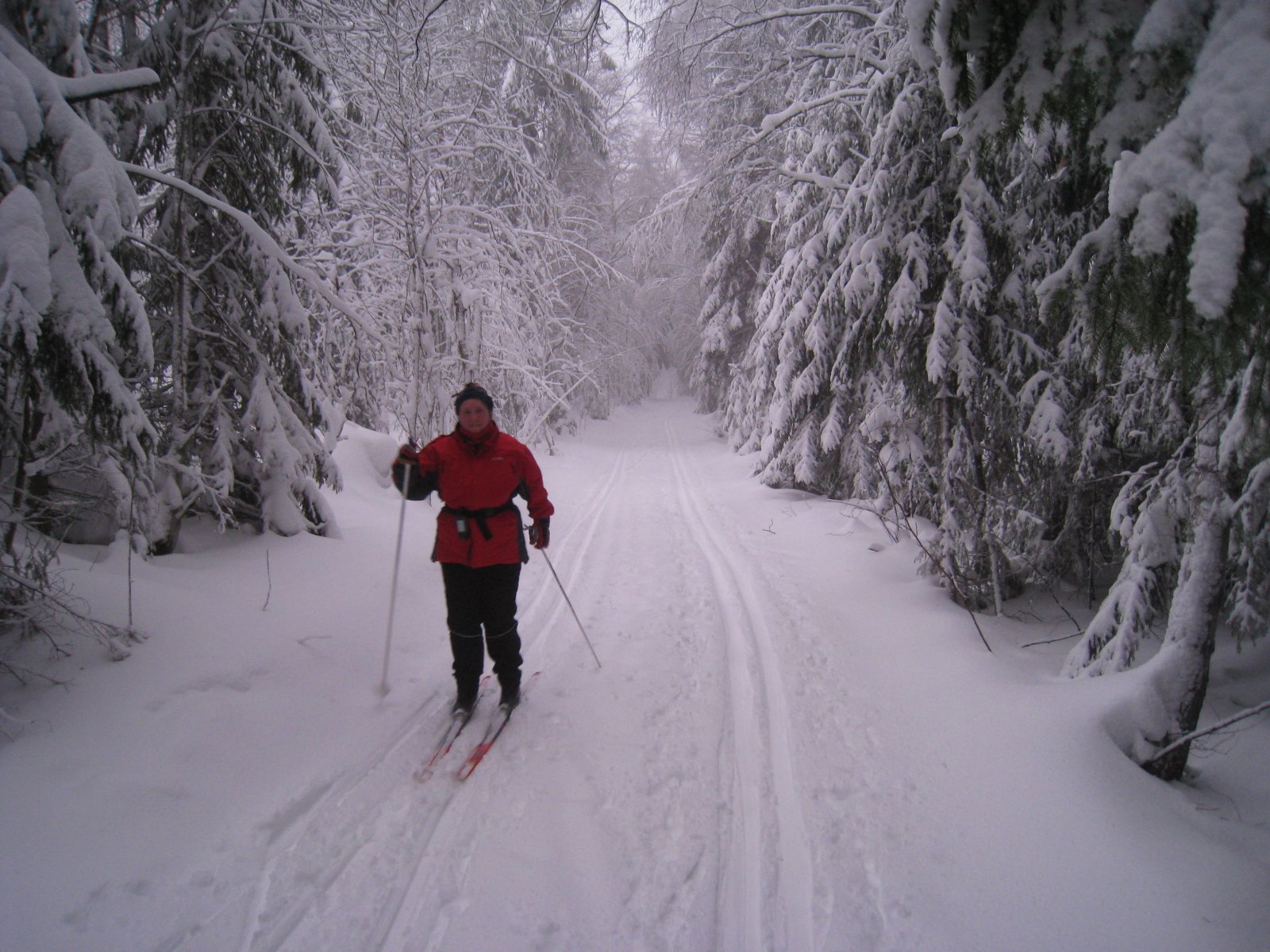 Nordlige delen av Valstadløypen er en løypeperle!