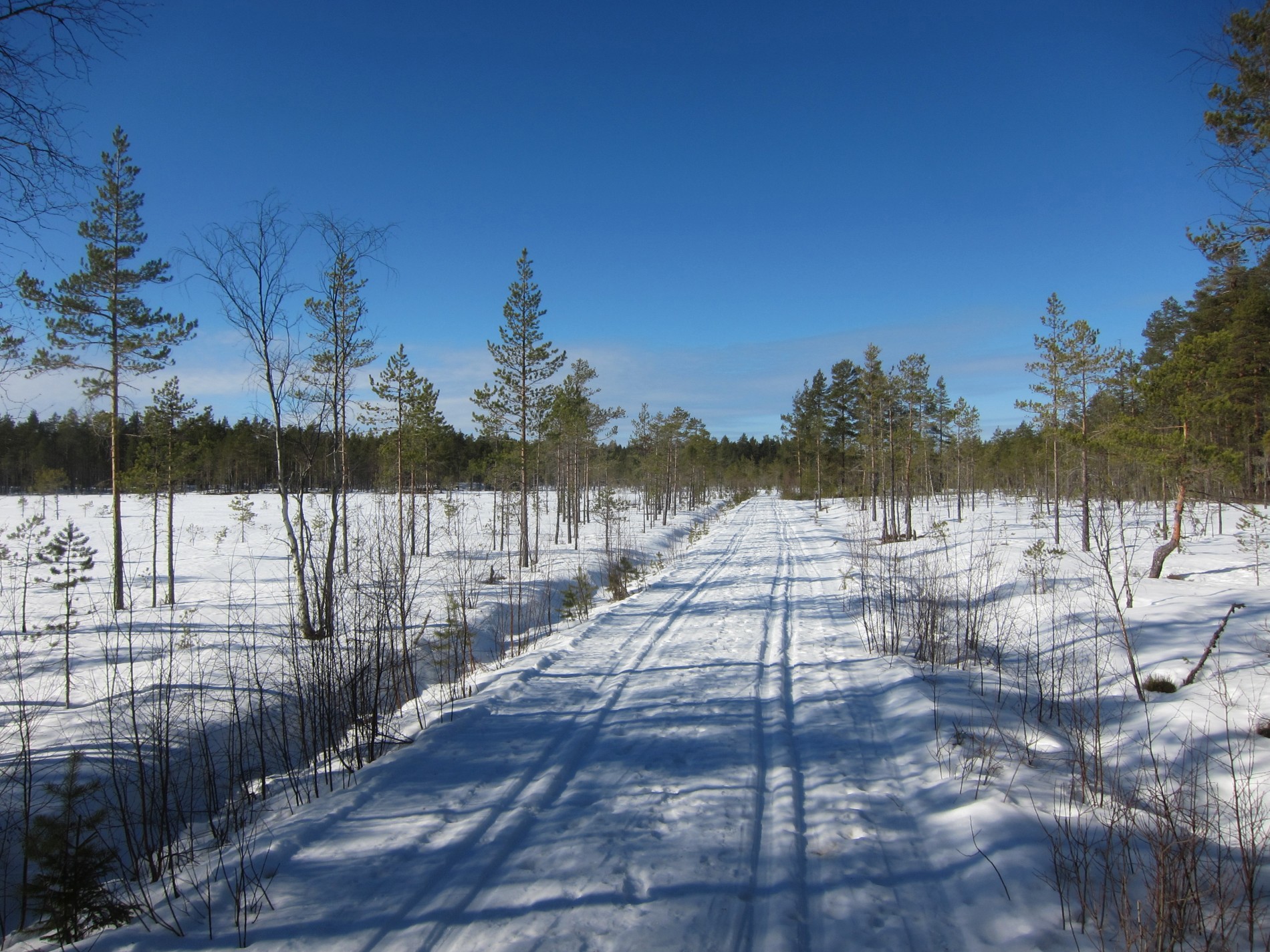 Nordover Flekkrøymyra