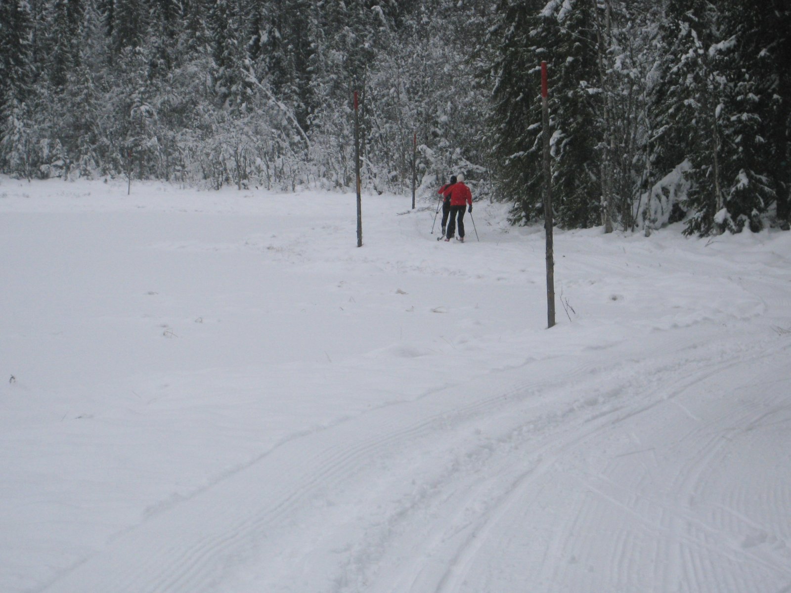 Nordover fra Auretjern