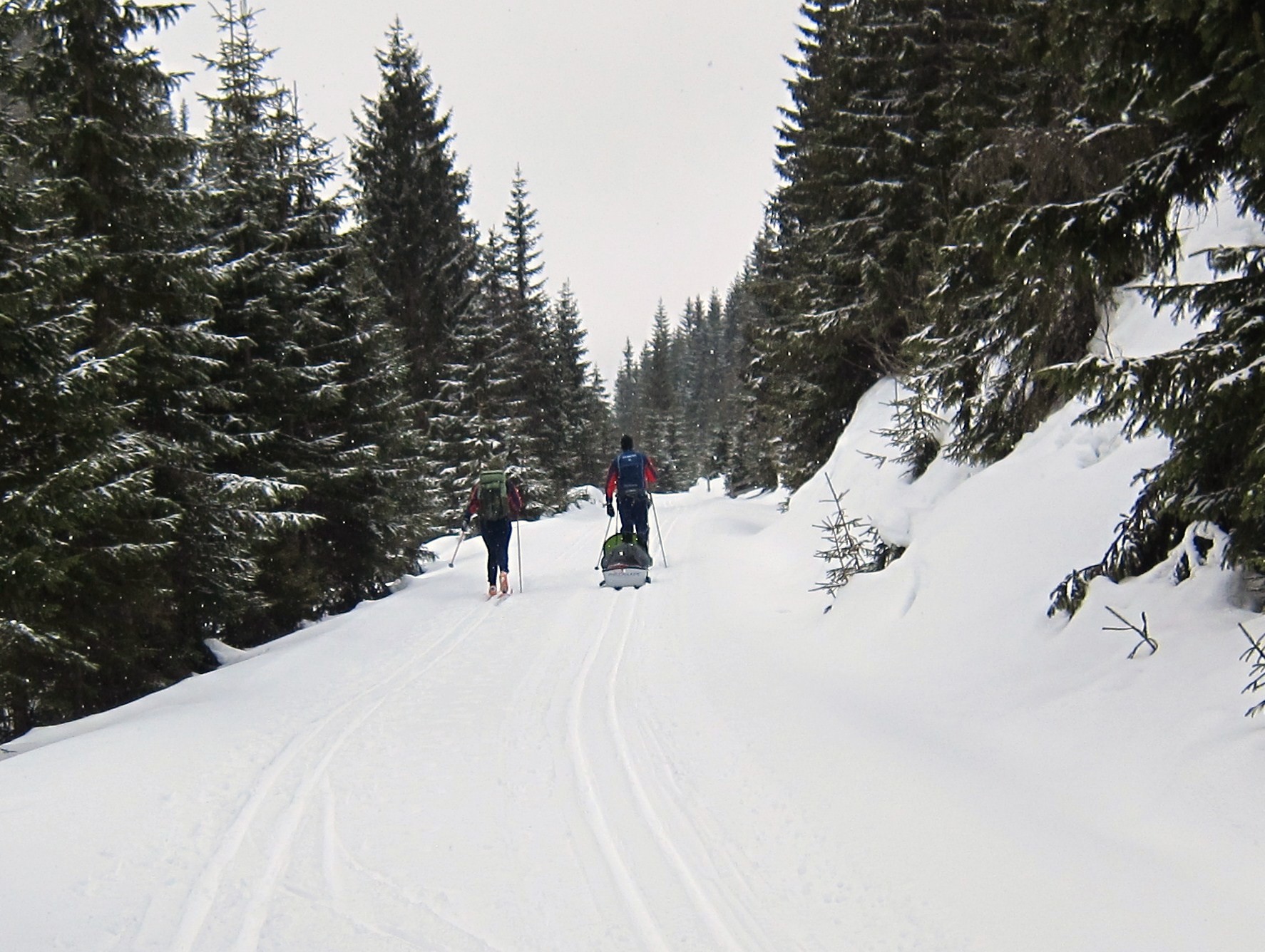 Nordover fra Bøhnshytta