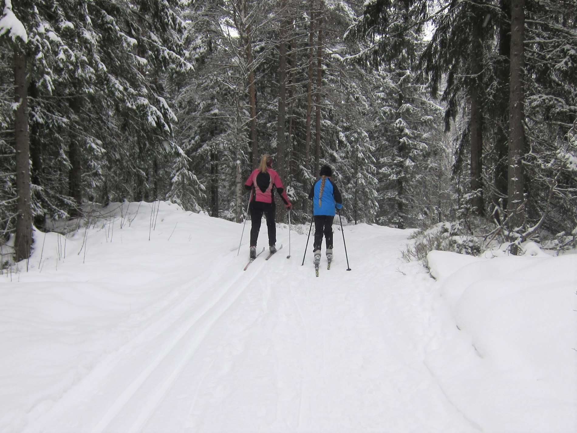 Nordover fra Langmåsan