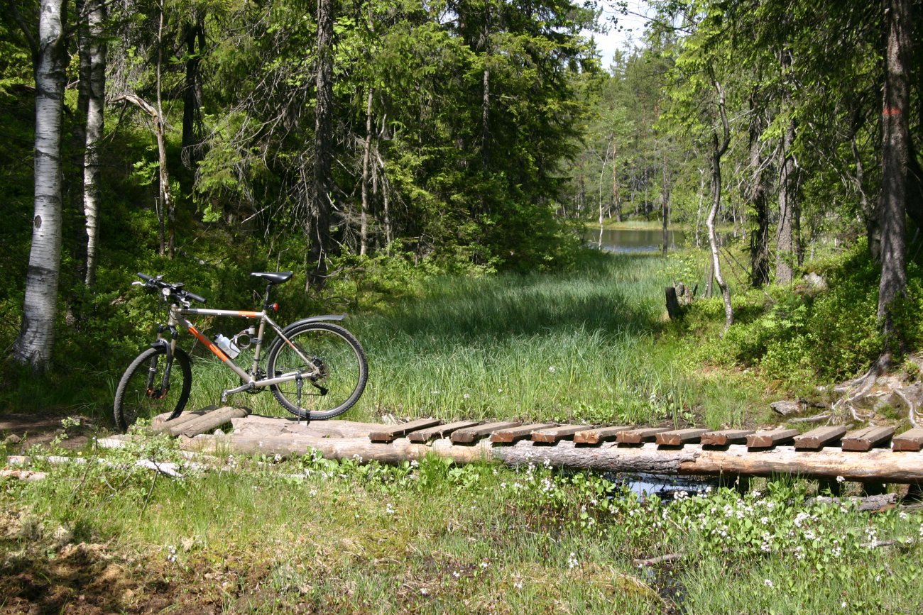 Nordover fra Lilloseter