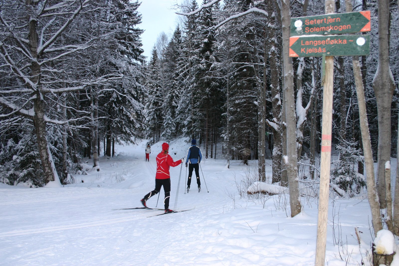 Nordover fra Monsetangen