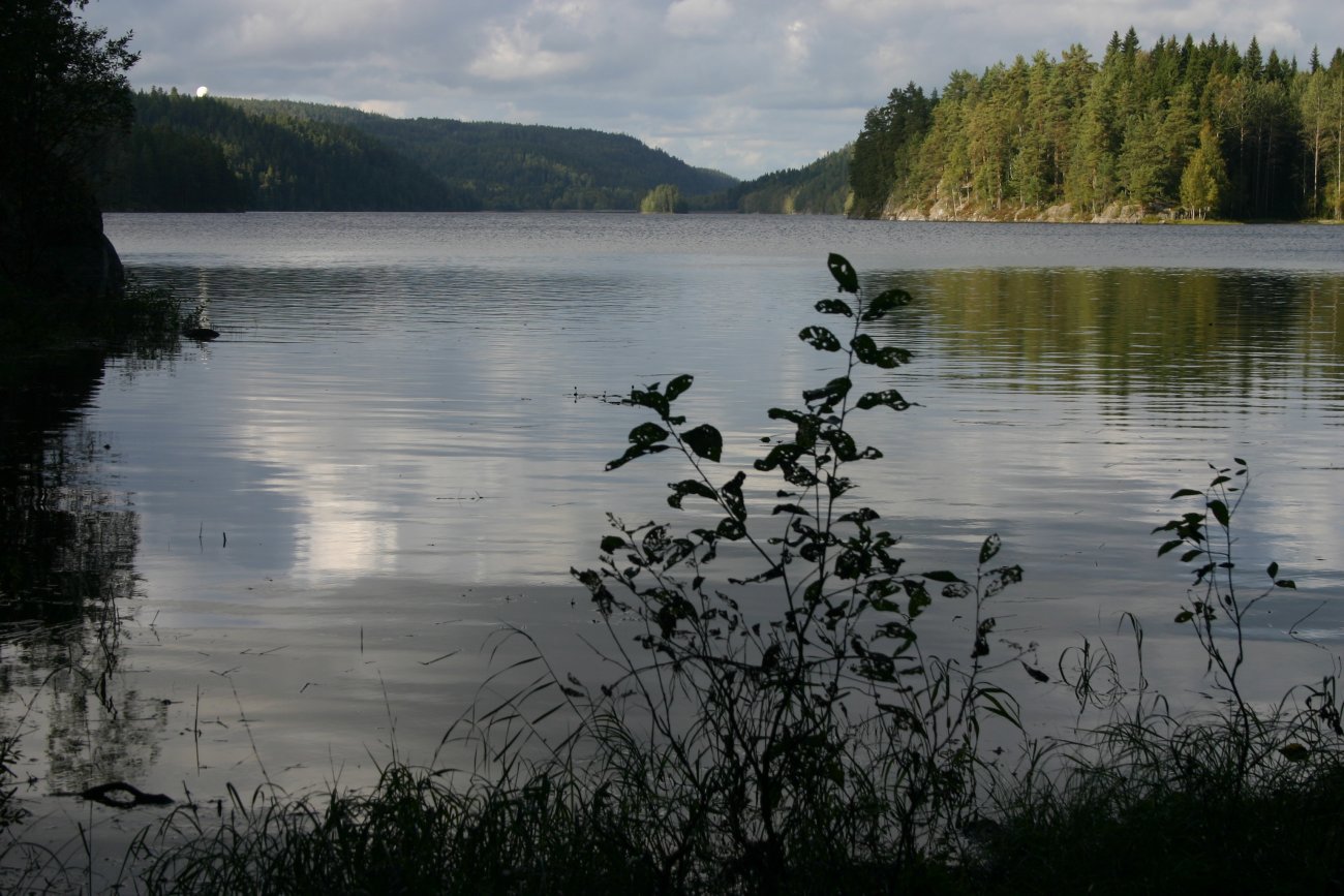 Nordover fra Petersbråtan