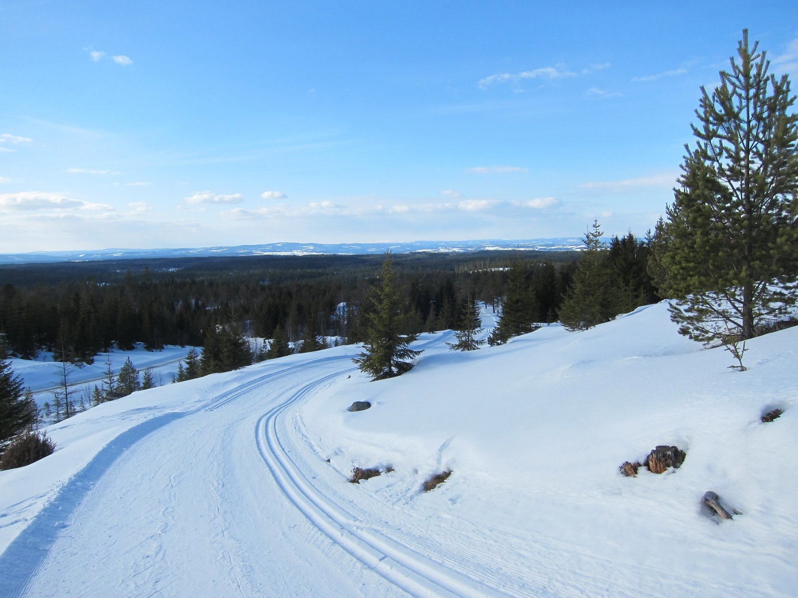 Nordover fra Sisselrotkampen