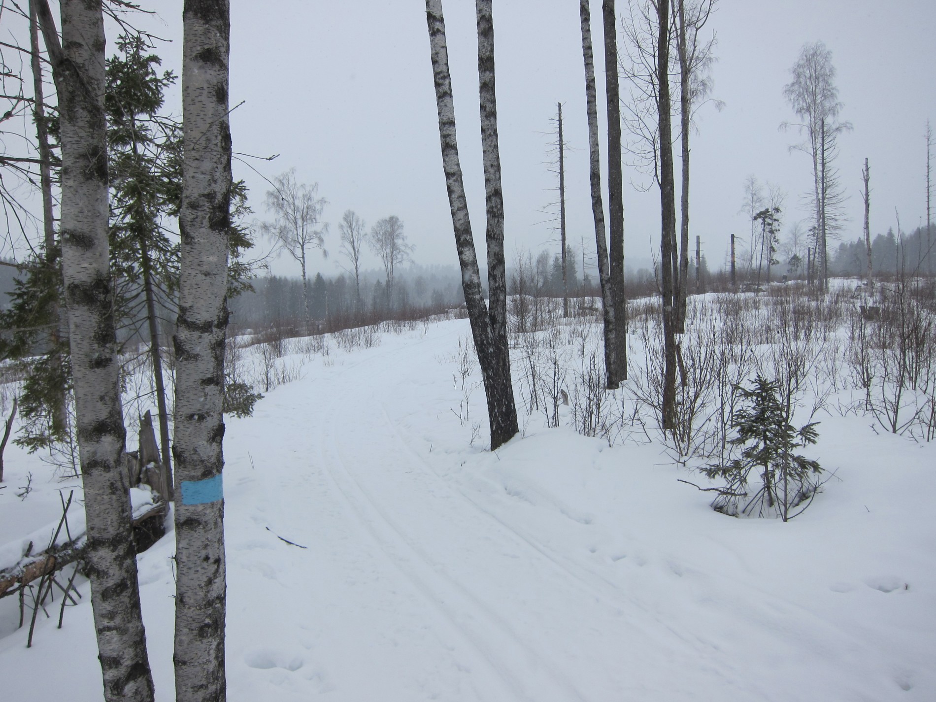 Nordover gjennom Revlingrunden