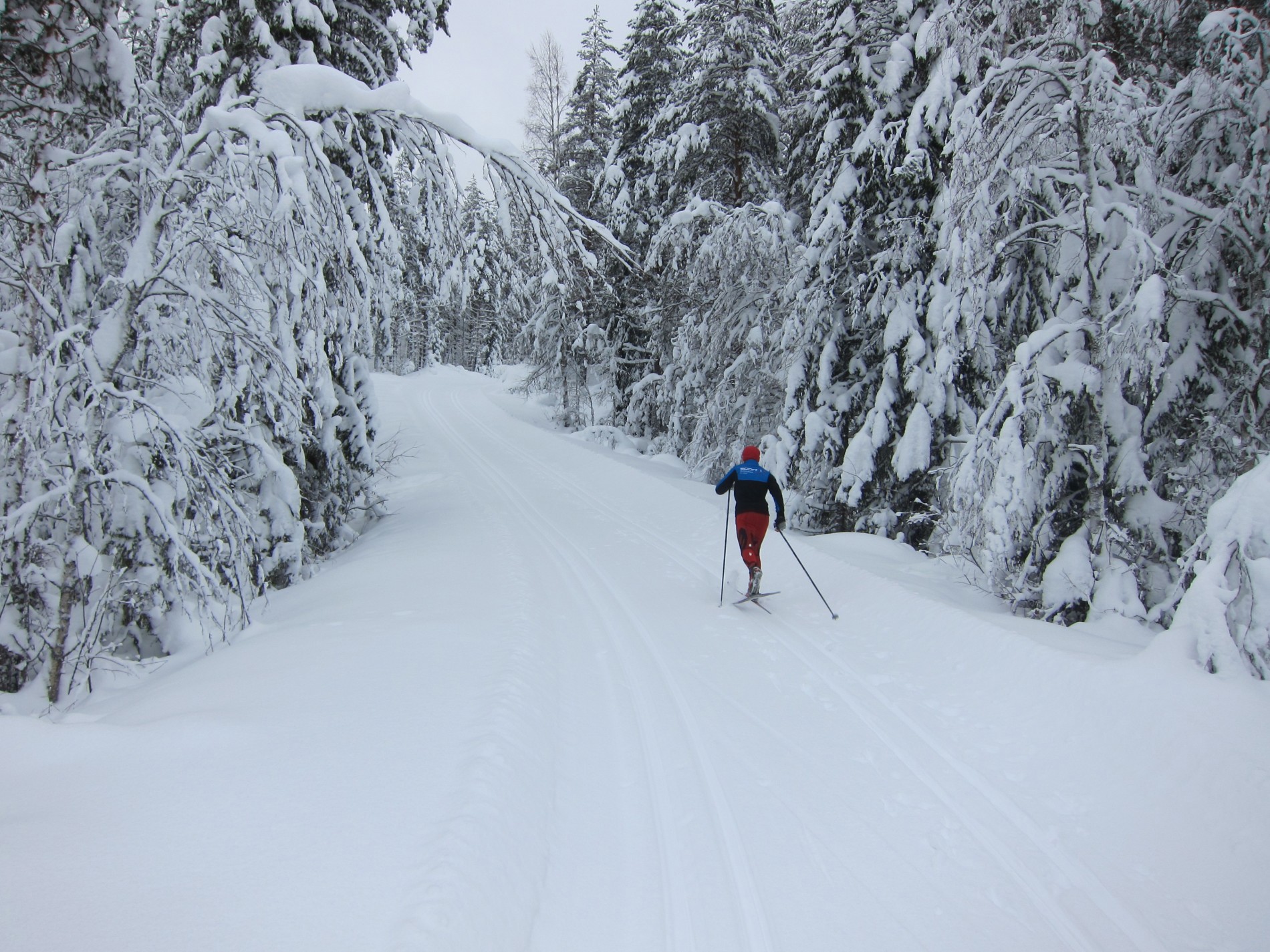 Nordover gjennom vinterlandskapet