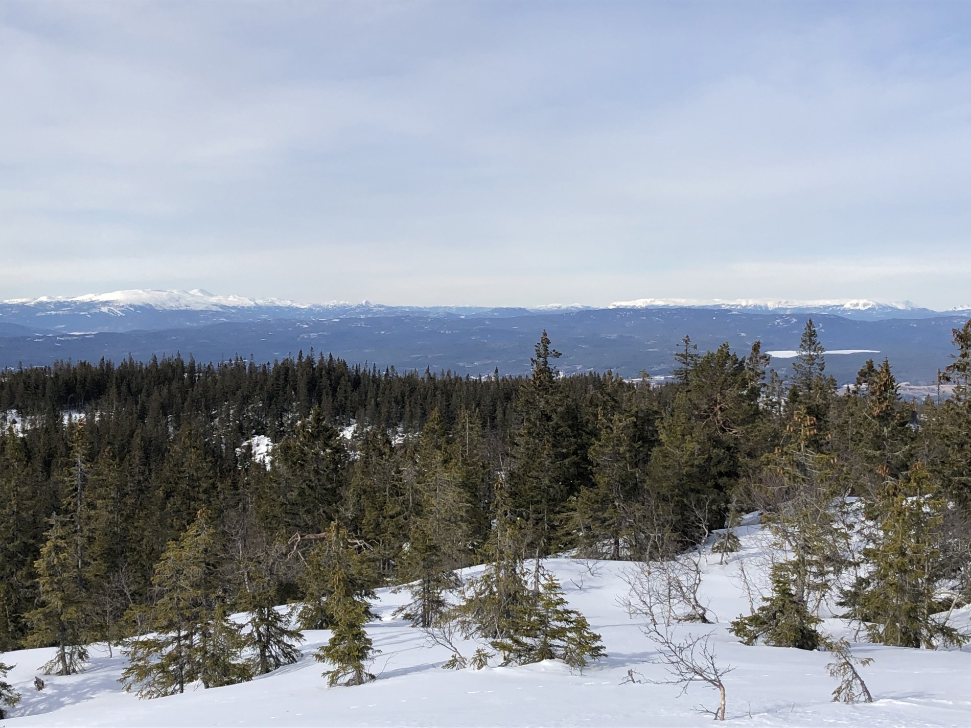Norefjell og Væleren i det fjerne