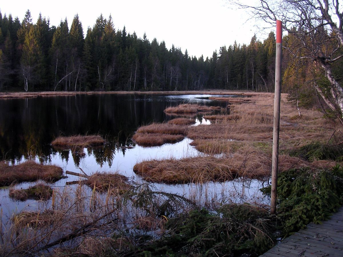 Novemberkveld ved Øyevann