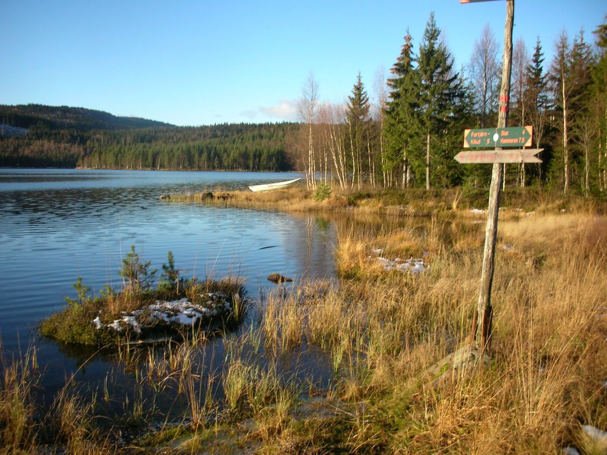 Novembersol over Rottungen