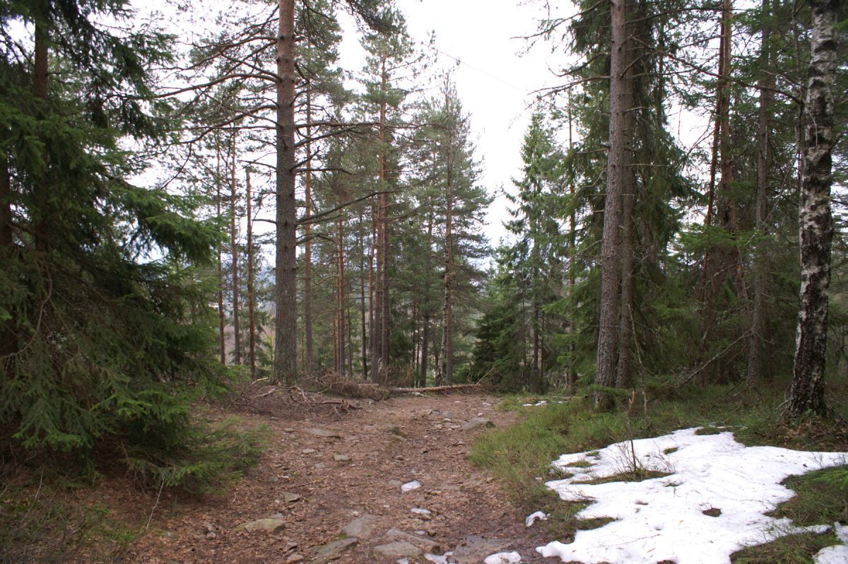 Ny årstid i Turtermarka