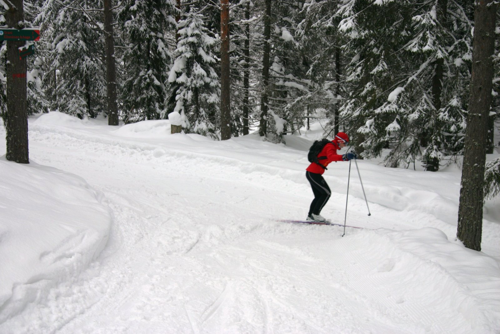 Ny retning ved Gimildammen