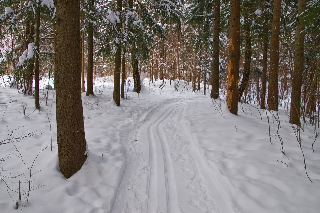 Ny sporsetting av gammel løype