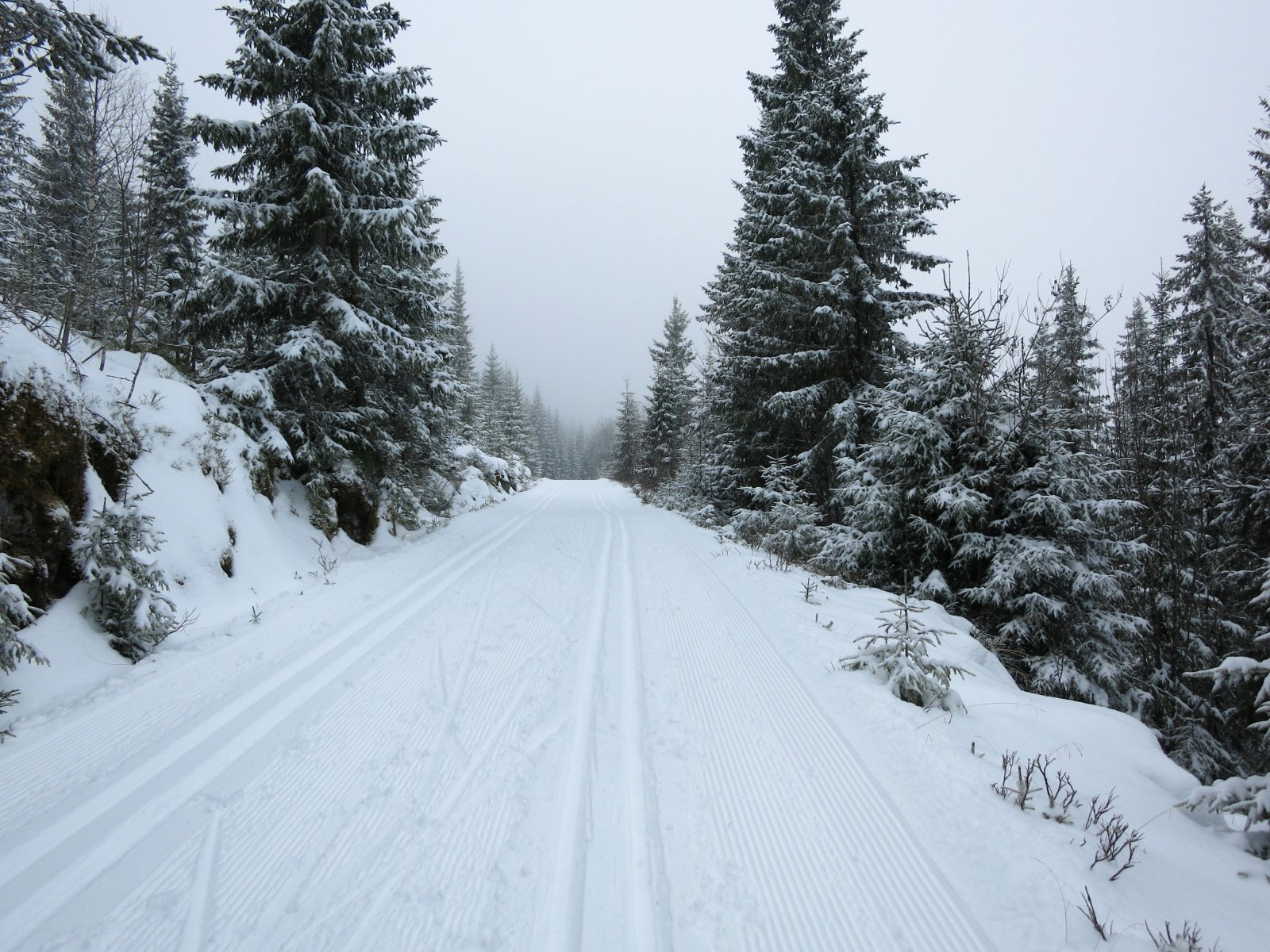 Nydelig løyper langs sydsiden av Mylla!