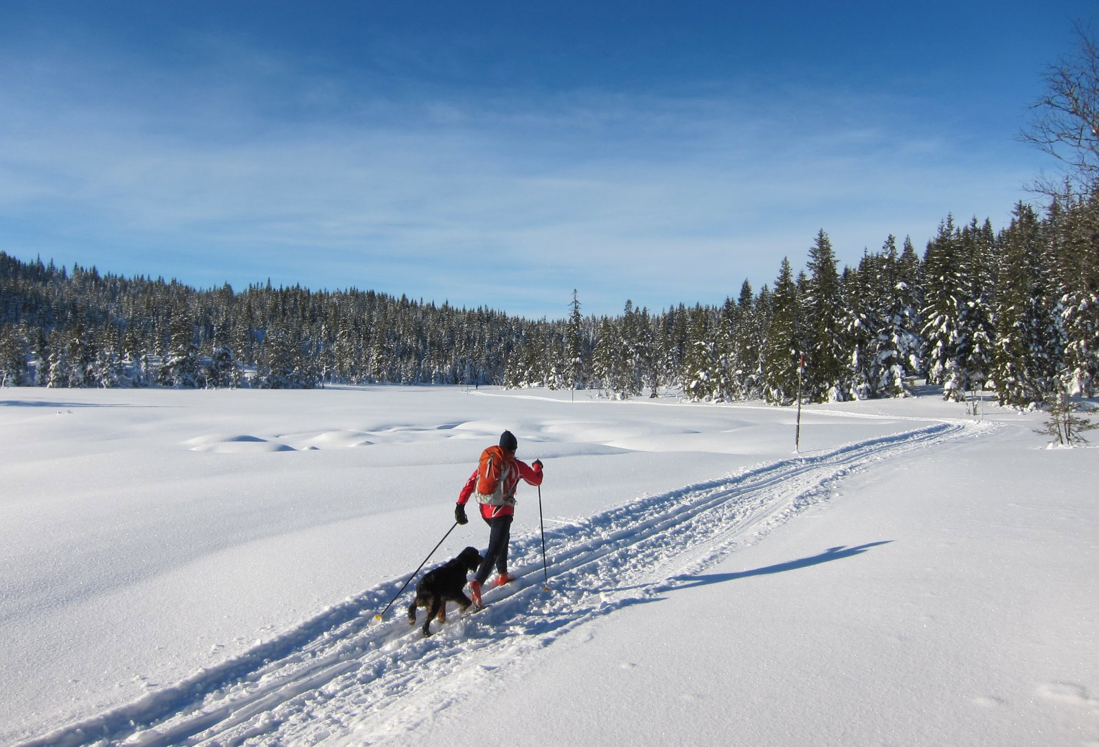 Nydelig over Sandbekkmana