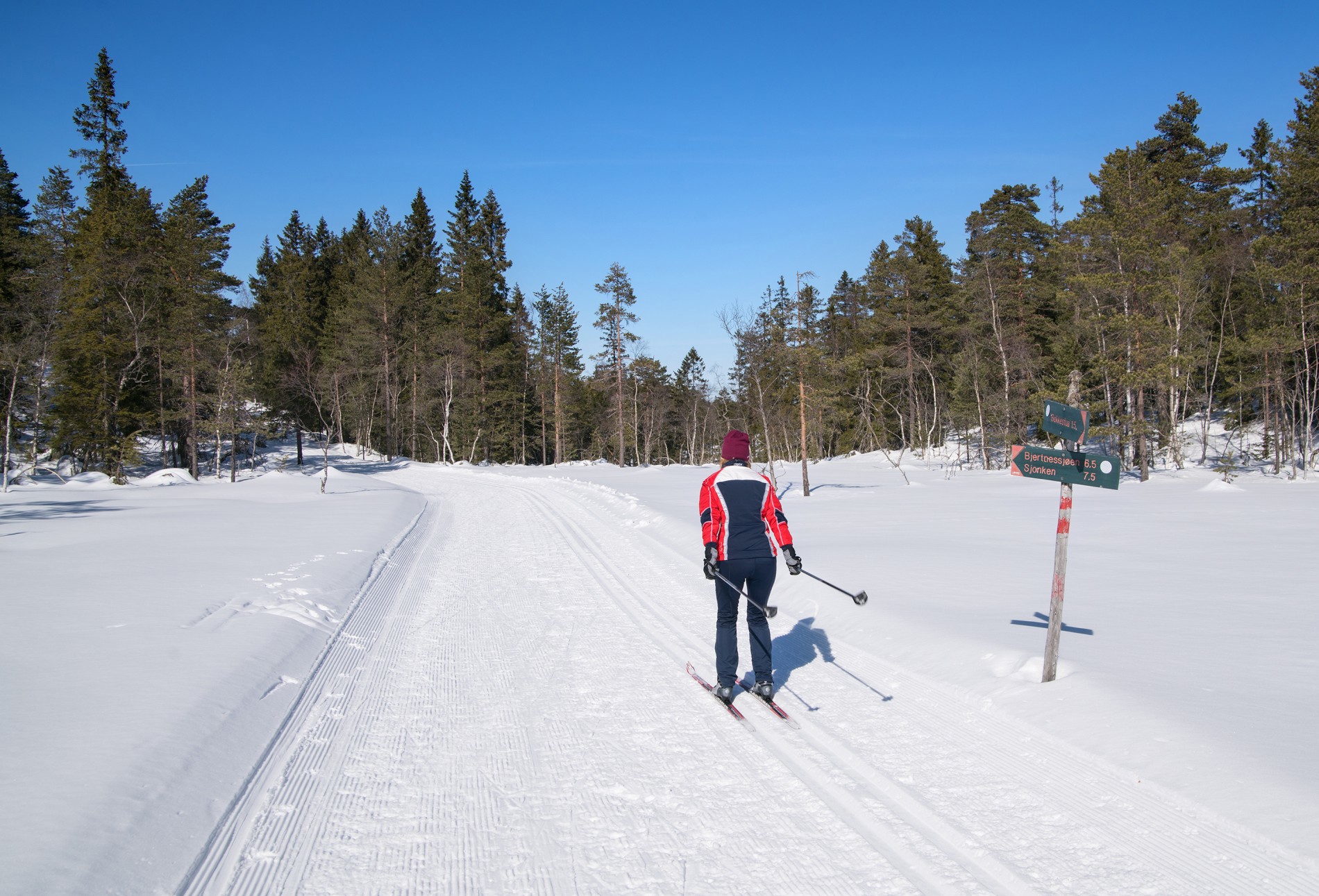 Nydelig over Vardåsen