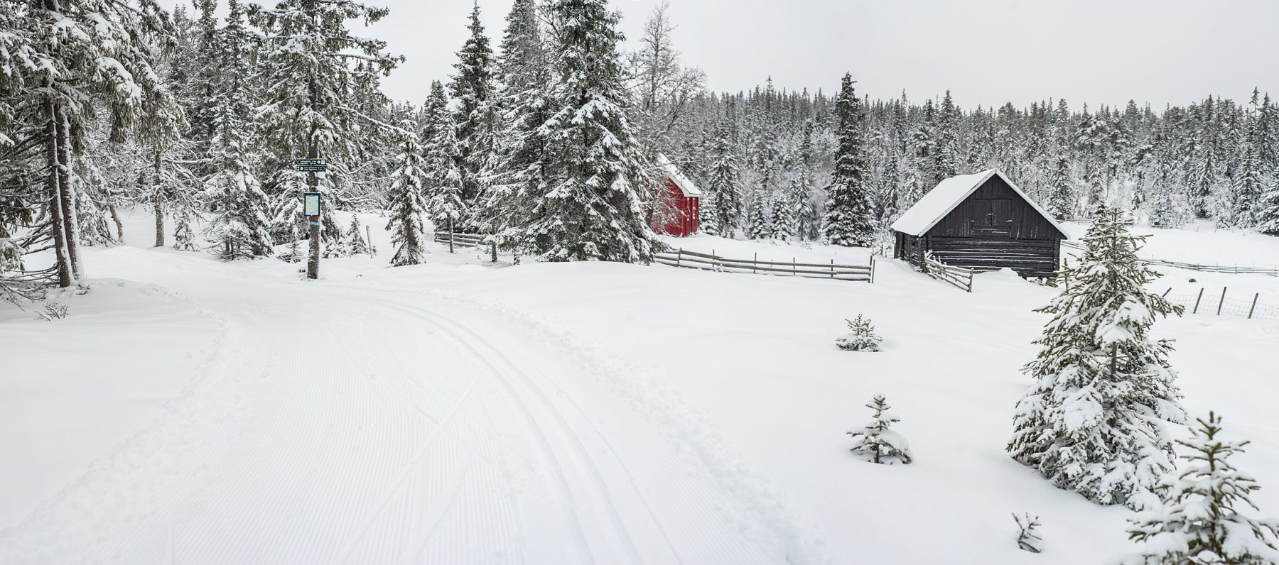 Nydelige forhold ved Finnskjeggholen