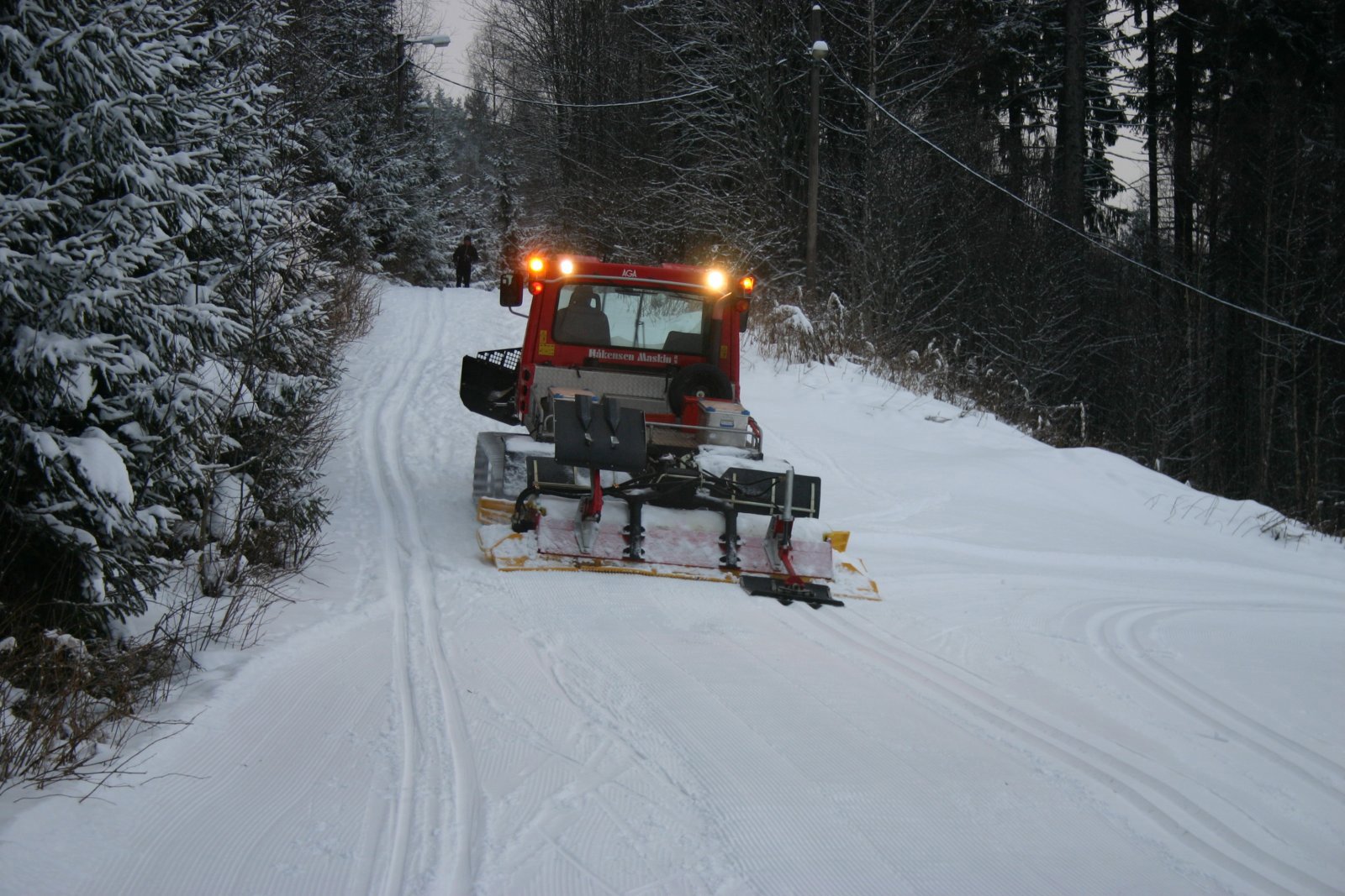 Nyfrisert fra Tæruddalen