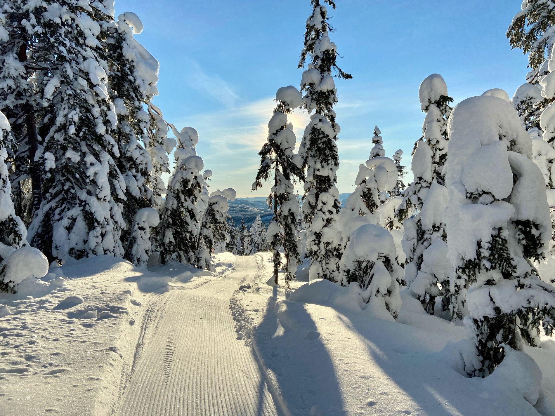 Nykjørt mot Skjerveknatten